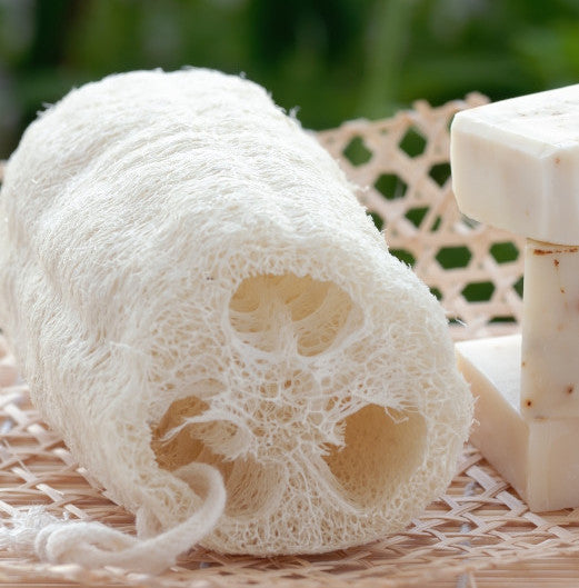 Natural Loofah Guide: You Need an All-Natural Shower Scrubber