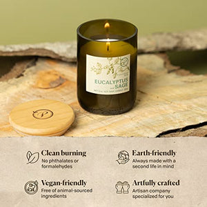 Paddywax Candles Eco Collection Soy Wax Blend Candle in Glass Jar, Medium- 8 Ounce, Eucalyptus & Sage
