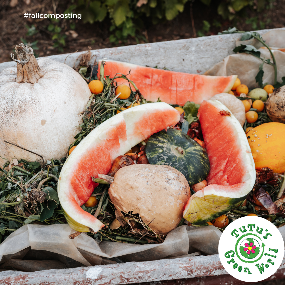 Turning Fall Bounty into Compost Gold: What to Add to Your Compost Pil