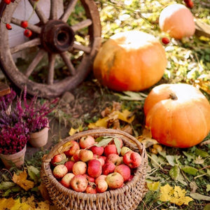 Small Acts, Big Impacts: Eco-Friendly Thanksgiving Tips for Kids