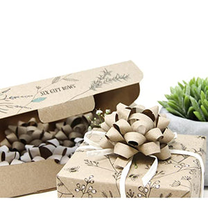 Eco Nature Environmentally Sustainable Set, Present Bags, Wrapping Paper, Greeting Cards, and Gift Bows, Natural Botanicals 44 Piece