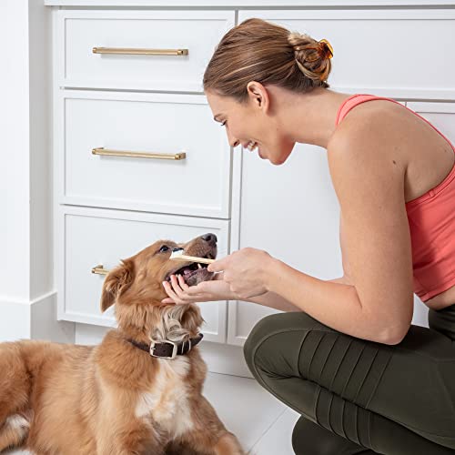 Prymal Pets Dog Toothbrush 4-Pack Bamboo Toothbrush for Dogs Cats