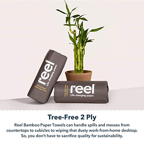 Reel Premium Recycled Paper Towels- 12 Rolls, 2-Ply Made From Tree-Fre