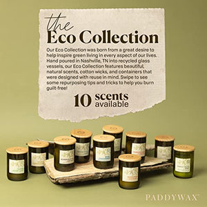 Paddywax Candles Eco Collection Soy Wax Blend Candle in Glass Jar, Medium- 8 Ounce, Eucalyptus & Sage